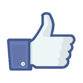 Facebook Likes